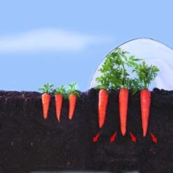 Kweekfolie / Tunnelfolie - 2 × 10 M -ESSCHERT DESIGN Verkoopwinkel 1534088192 2 600