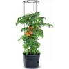 Tomaten Kweekpot Met Groeisteun - 12 Liter -ESSCHERT DESIGN Verkoopwinkel 1649410567 1 600