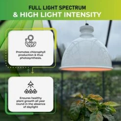 Groeilamp Led Florabooster 500 - 6,5W - Wit -ESSCHERT DESIGN Verkoopwinkel 1677504263 4 600