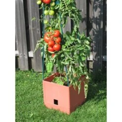 Plantentoren Maxitom Met Waterreservoir - Terracotta 8 Plantentoren Maxitom Met Waterreservoir - Terracotta -ESSCHERT DESIGN Verkoopwinkel 1677510667 3 600