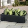 Groeibed 97,5 × 50 × 25 Cm -ESSCHERT DESIGN Verkoopwinkel groeibed 975 x 50 x 25 cm 1484055485 1 600