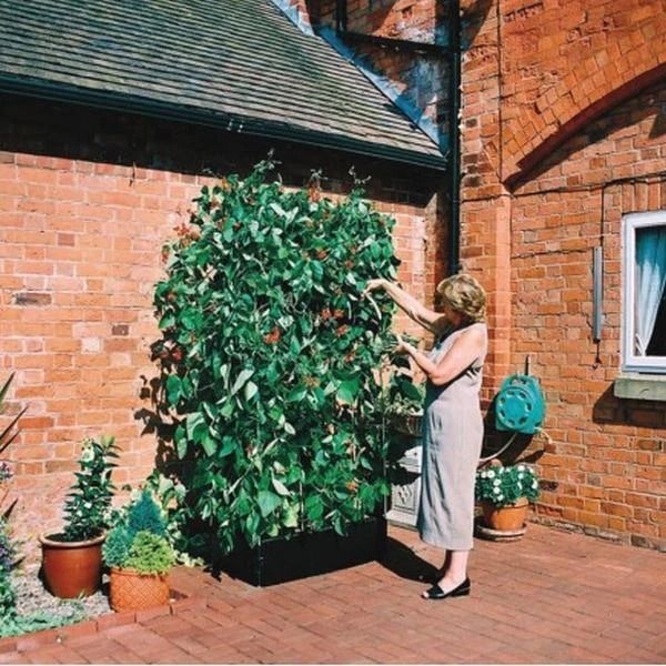 Groeibed 1 × 0,5 M Met Klimframe 1 Groeibed 1 × 0,5 M Met Klimframe