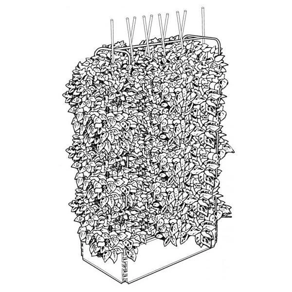 Groeibed 1 × 0,5 M Met Klimframe 2 Groeibed 1 × 0,5 M Met Klimframe - Afbeelding 2