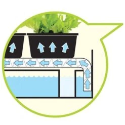 Groeilicht Met Kweekset - Zwart -ESSCHERT DESIGN Verkoopwinkel groeilicht met kweekset zwart 1484063021 3 600