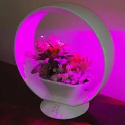 Mini Tuin Jardin Secret Met Verlichting En Bluetooth - Rond -ESSCHERT DESIGN Verkoopwinkel jardin secret met bluetooth rond 1602065218 3 600
