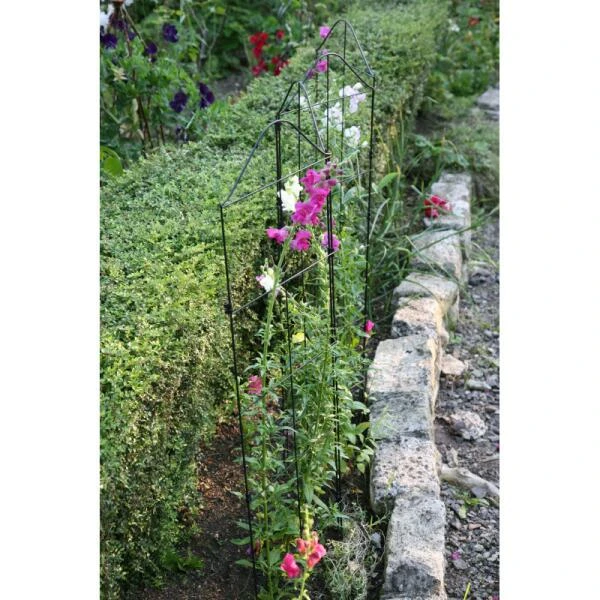 Klimplantensteun - Moduleerbare Steunpanelen 4 Klimplantensteun - Moduleerbare Steunpanelen - Afbeelding 4