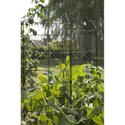 Klimplantensteun - Moduleerbare Steunpanelen 10 Klimplantensteun - Moduleerbare Steunpanelen -ESSCHERT DESIGN Verkoopwinkel klimplantensteun rekken 1549797641 2 600