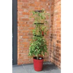 Tomatentoren Met Bewateringssysteem - 150 Cm -ESSCHERT DESIGN Verkoopwinkel klimplantentoren met bewateringssysteem 1519074088 1 600
