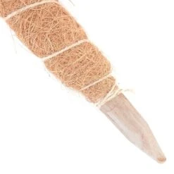 Kokos Kamerplantensteun - Plantstok Ø45 Mm × 1 M 7 Kokos Kamerplantensteun - Plantstok Ø45 Mm × 1 M -ESSCHERT DESIGN Verkoopwinkel kokos plantensteun 45 mm x 1 m 1622717806 4 600