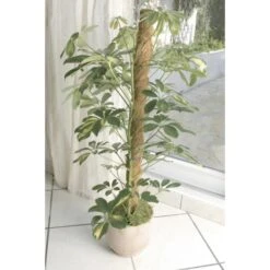 Kokos Kamerplantensteun - Plantstok Ø45 Mm × 1,2 M -ESSCHERT DESIGN Verkoopwinkel kokos plantstok 45 mm x 12 m 1622716785 4 600
