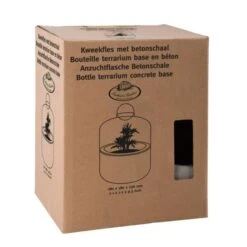 ESSCHERT DESIGN Kweekstolp Glas Op Betonbasis 6 ESSCHERT DESIGN Kweekstolp Glas Op Betonbasis -ESSCHERT DESIGN Verkoopwinkel kweekstolp glas op betonbasis 1628768575 1 600