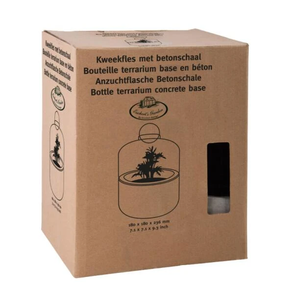 ESSCHERT DESIGN Kweekstolp Glas Op Betonbasis 3 ESSCHERT DESIGN Kweekstolp Glas Op Betonbasis - Afbeelding 3