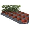Tray Met 18 Ronde Kweekpotten 9 Cm -ESSCHERT DESIGN Verkoopwinkel kweektray 18 potten 9 cm 1484055982 1 600