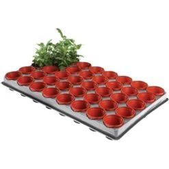 Tray Met 40 Kweekpotjes 6 Cm 5 Tray Met 40 Kweekpotjes 6 Cm -ESSCHERT DESIGN Verkoopwinkel kweektray 40 potjes 6 cm 1599819541 1 600