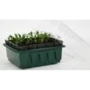 Kweektray Compact Rapid Root - 20 Cellen -ESSCHERT DESIGN Verkoopwinkel kweektray rapid root 20 cellen 1487670094 0 600