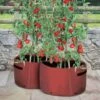 Kweekzak Tomaten 40 Liter - Set Van 2 Stuks -ESSCHERT DESIGN Verkoopwinkel kweekzak voor tomaten 40 liter 1487756657 0 600