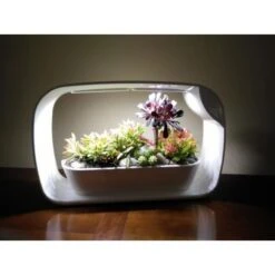 Mini Tuin Jardin Secret Met Ledverlichting En Bluetooth - Rechthoek -ESSCHERT DESIGN Verkoopwinkel mini tuin jardin secret met bluetooth 1602061938 2 600