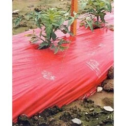 Rode Folie Voor Een Betere Plantengroei -ESSCHERT DESIGN Verkoopwinkel mulchfolie 1577621345 1 600