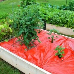 Rode Folie Voor Een Betere Plantengroei -ESSCHERT DESIGN Verkoopwinkel mulchfolie 1577621986 1 600
