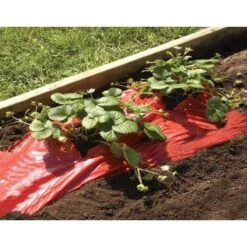Rode Folie Voor Een Betere Plantengroei -ESSCHERT DESIGN Verkoopwinkel mulchfolie rood aardbeien en tomaten 1492072043 1 600