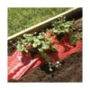 Rode Folie Voor Een Betere Plantengroei -ESSCHERT DESIGN Verkoopwinkel mulchfolie rood aardbeien en tomaten 1577620678 1 600