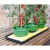 Plant- En Gietpot Groen - Set Van 3 Stuks -ESSCHERT DESIGN Verkoopwinkel plant en gietpot 1484054799 1 600