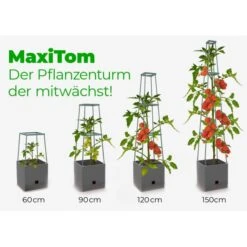Plantentoren Maxitom Met Waterreservoir - Antraciet -ESSCHERT DESIGN Verkoopwinkel plantentoren maxitom antraciet 1677571236 4 600