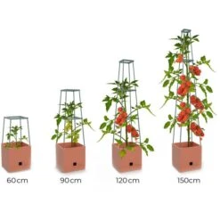 Plantentoren Maxitom Met Waterreservoir - Terracotta 11 Plantentoren Maxitom Met Waterreservoir - Terracotta -ESSCHERT DESIGN Verkoopwinkel plantentoren maxitom terracotta 1680165024 1 600