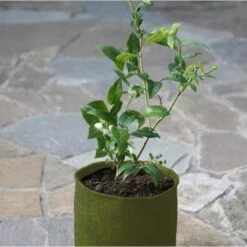 Plantzakken 5 Liter Vigoroot - Set Van 3 Stuks -ESSCHERT DESIGN Verkoopwinkel plantzakken 5 liter vigoroot 1487757667 0 600