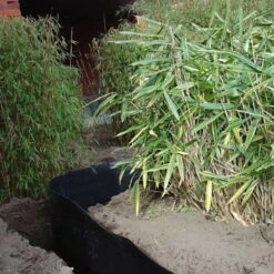 Rootblock Professionele Wortelwering 60 Cm Hoog - / Strekkende Meter 7 Rootblock Professionele Wortelwering 60 Cm Hoog - / Strekkende Meter -ESSCHERT DESIGN Verkoopwinkel rootblock professionele wortelwering 1552733360 3 600