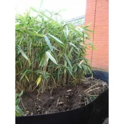 Rootblock Professionele Wortelwering 60 Cm Hoog - / Strekkende Meter 9 Rootblock Professionele Wortelwering 60 Cm Hoog - / Strekkende Meter -ESSCHERT DESIGN Verkoopwinkel rootblock professionele wortelwering 1552733360 5 600