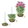 Steunringen Voor Planten Ø 30 Cm - Kunststof - Set Van 2 Stuks -ESSCHERT DESIGN Verkoopwinkel steunringen 1490175532 1 600