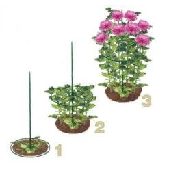 Steunringen Voor Planten Ø 30 Cm - Kunststof - Set Van 2 Stuks
