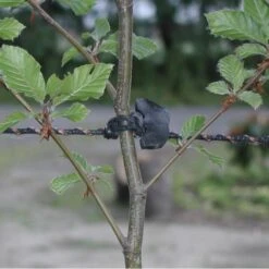 Voorkant 33 Voorkant -ESSCHERT DESIGN Verkoopwinkel treefix boombinder 8 cm 1547125994 2 600