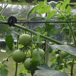 Tree-fix Boombinder 8 Cm - Set Van 50 Stuks -ESSCHERT DESIGN Verkoopwinkel treefix boombinder 8 cm 1547125995 3 600