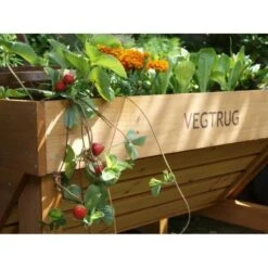 Vegtrug Verhoogde Kweektafel - 1 × 0,8 × 0,8 M -ESSCHERT DESIGN Verkoopwinkel vegtrug 1 m 1484054491 4 600