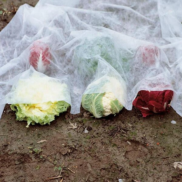 Vliesdoek - 10 × 2 Meter - 30 G/m² 1 Vliesdoek - 10 × 2 Meter - 30 G/m²