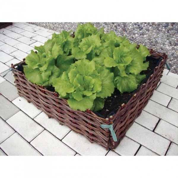 Wilgentenen Plantenbed - 60 × 60 × 20 Cm 1 Wilgentenen Plantenbed - 60 × 60 × 20 Cm