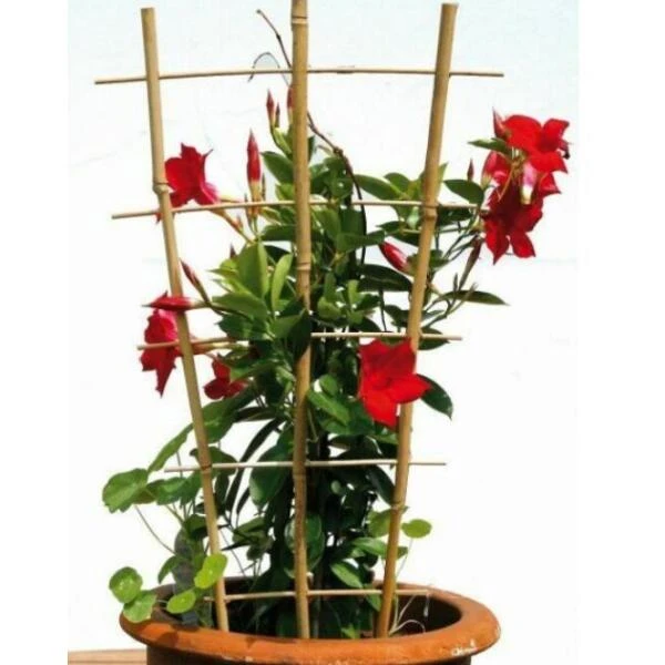 Voorkant 35 Voorkant -ESSCHERT DESIGN Verkoopwinkel bamboe ladder 45 x 110 cm 1620816705 1 600